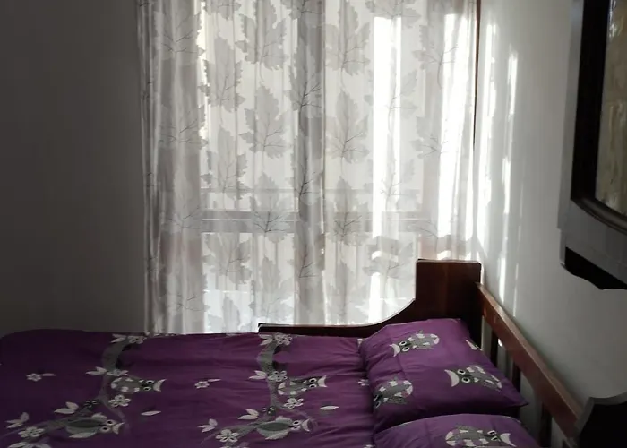 Aleksander Apartment *